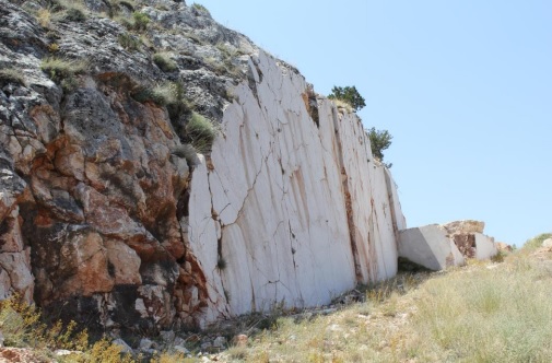 Dünyada Sadece Yozgat’ta Yetişiyor (9)