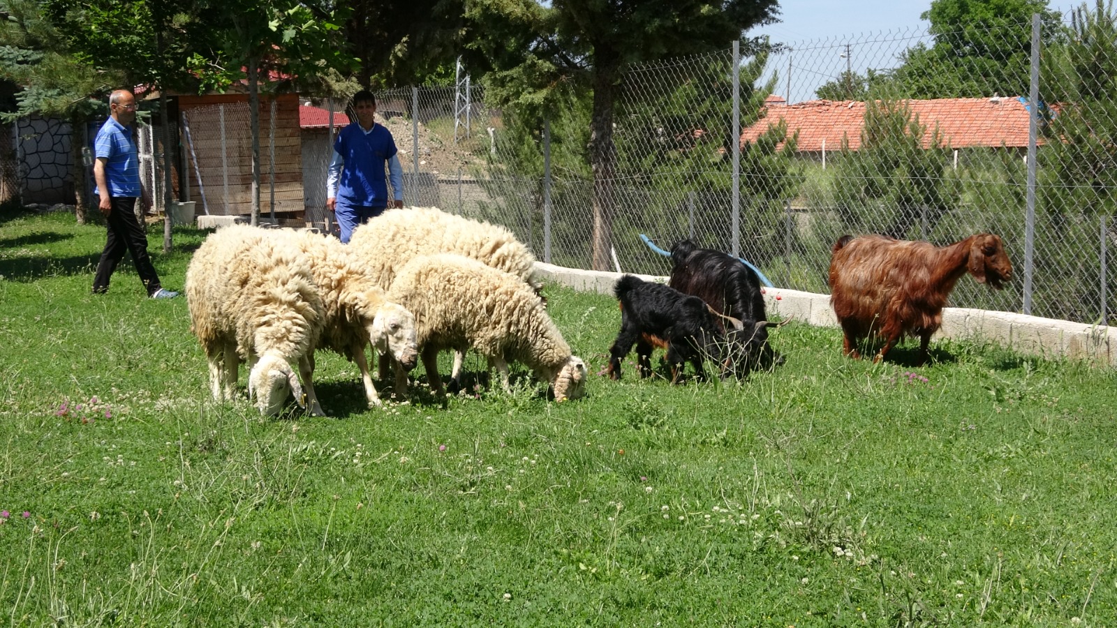 Herkes Aktif Yaşlanıyor!2