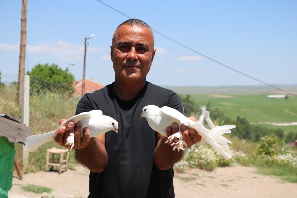 Bu Kuşlara Değer Biçilemiyor