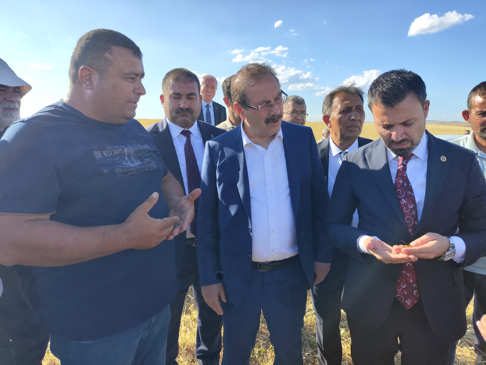 Ak Parti Çiftçi (2)