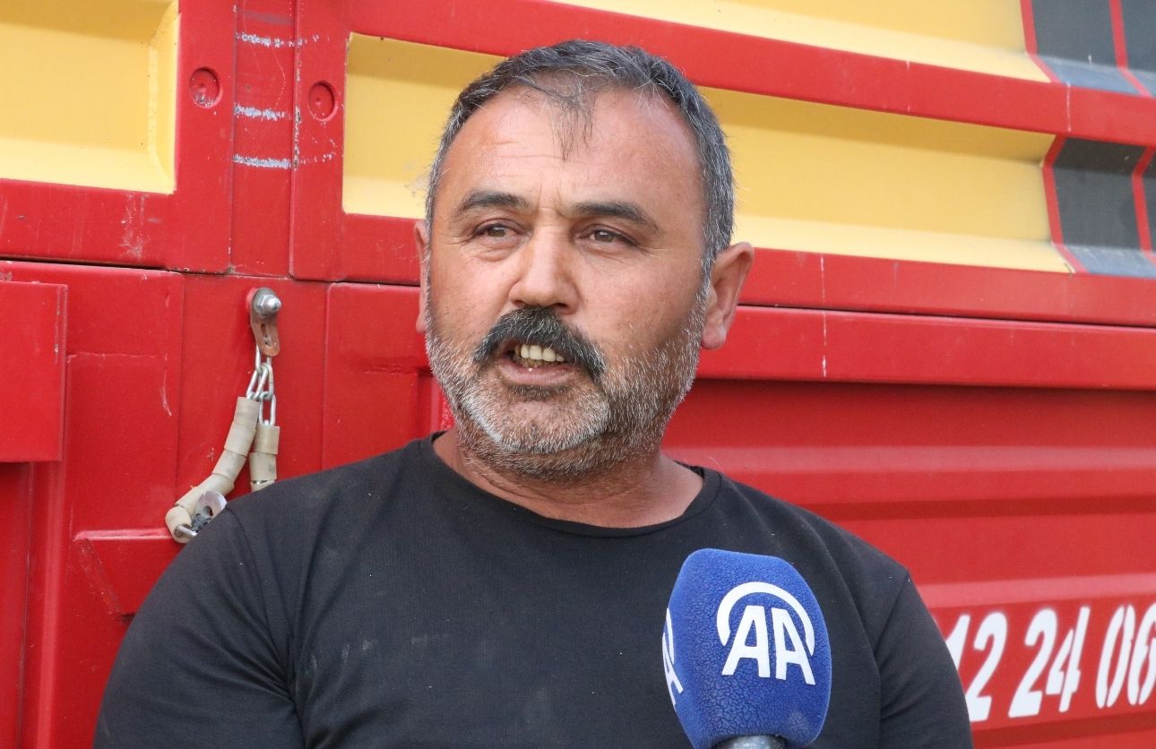 Mercimek Hasat Yozgat (6)