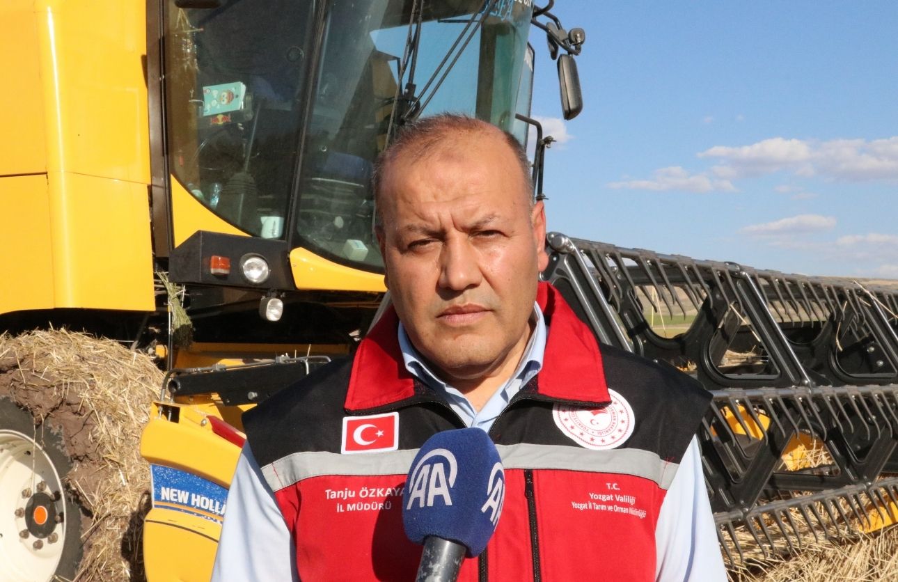 Tanju Özkaya
