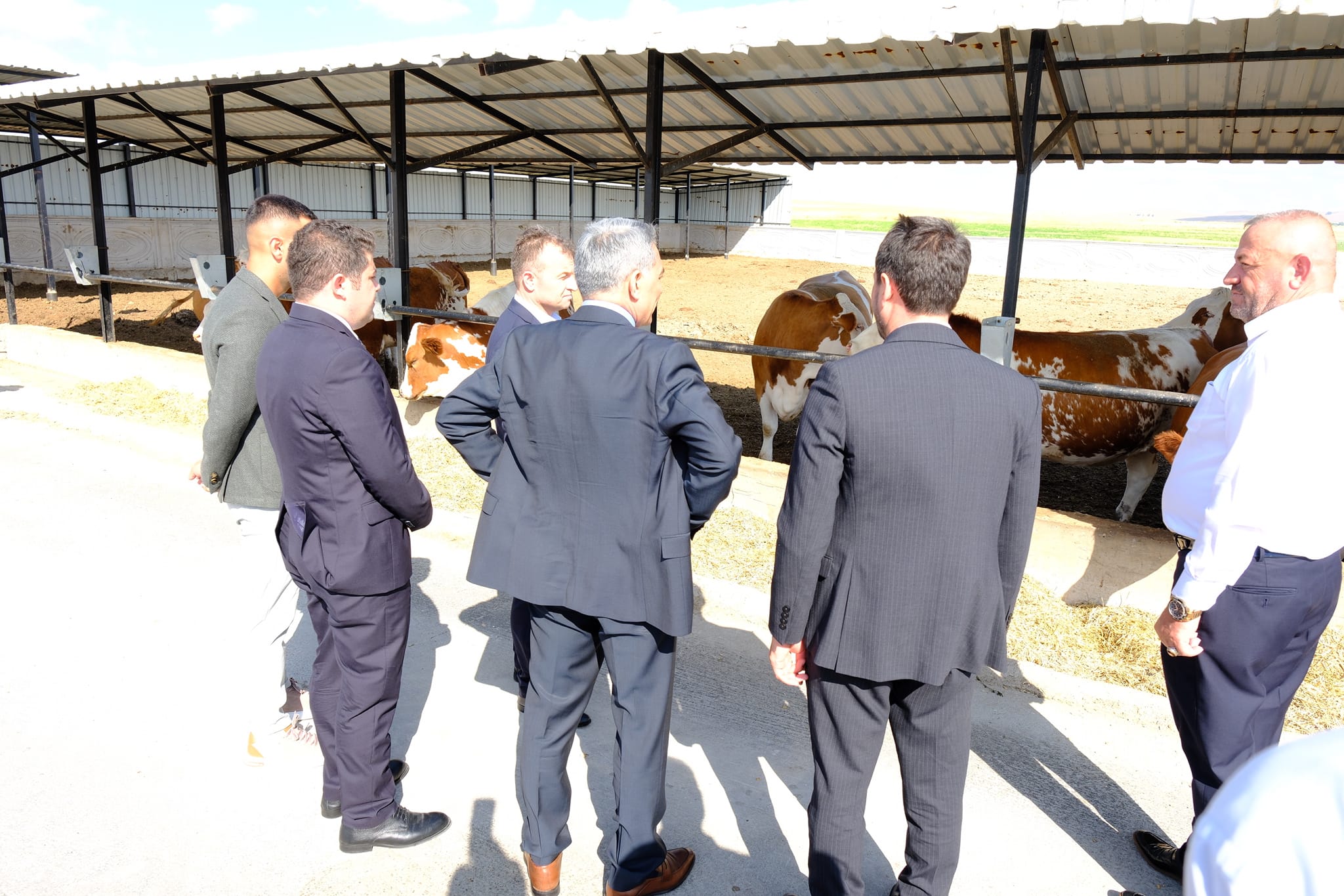 Hayvancılık Tesisine Ziyaret6
