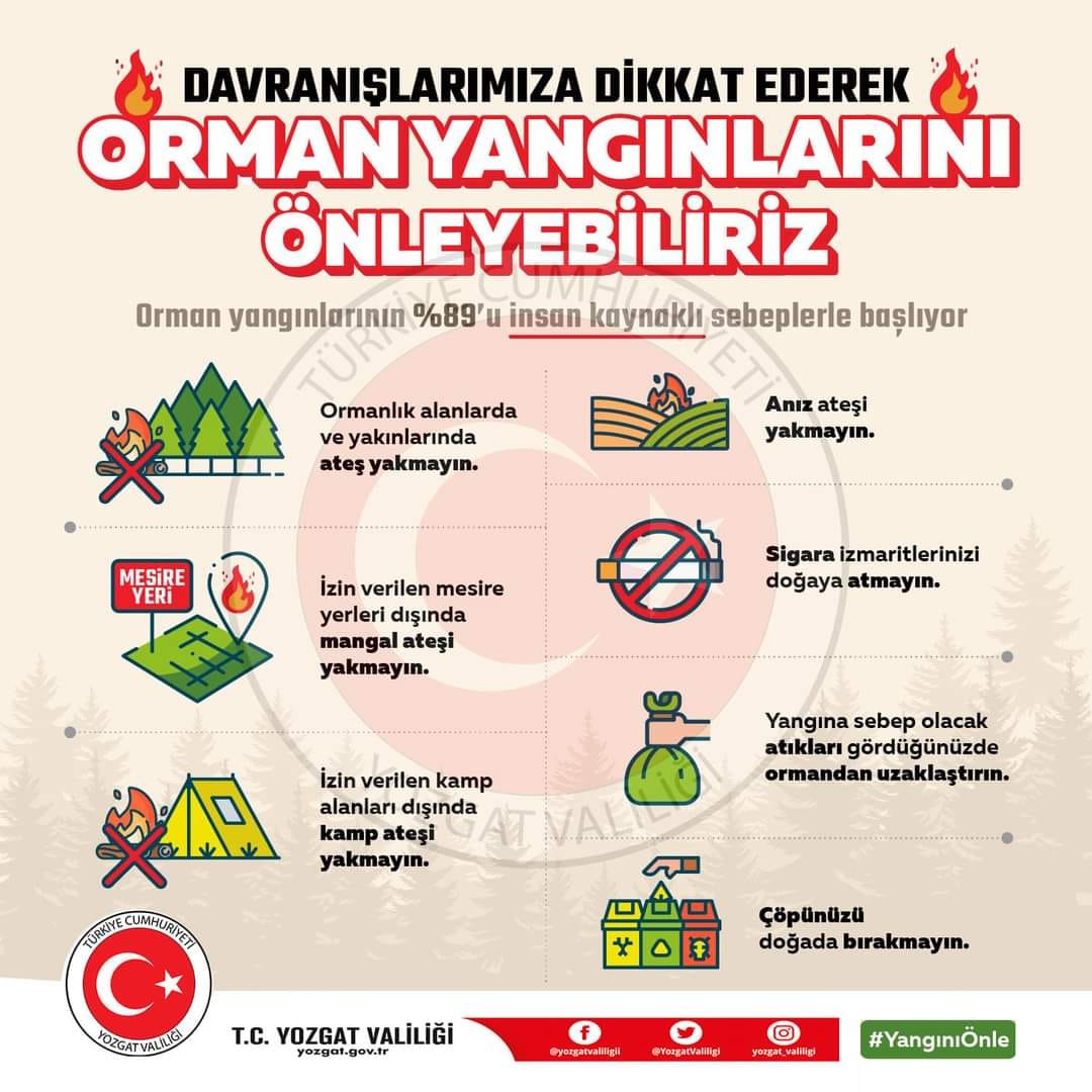 Her Şey Senin Elinde’