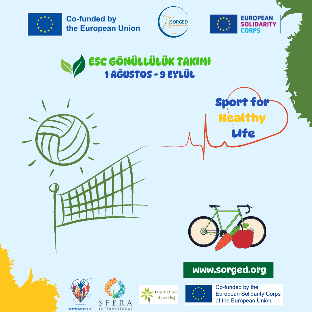4 Gönüllü Aranıyor (2)