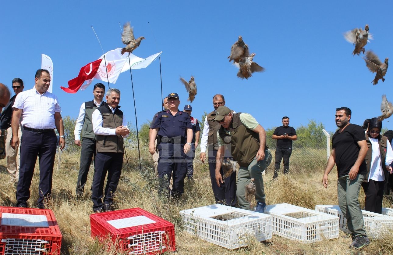 Keklik Üretim Istasyonu (1)