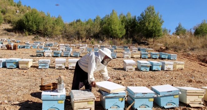 Yozgat, Sivas, Tokat, Çorum, Kırıkkale… Büyük Önem Taşıyor! (1)