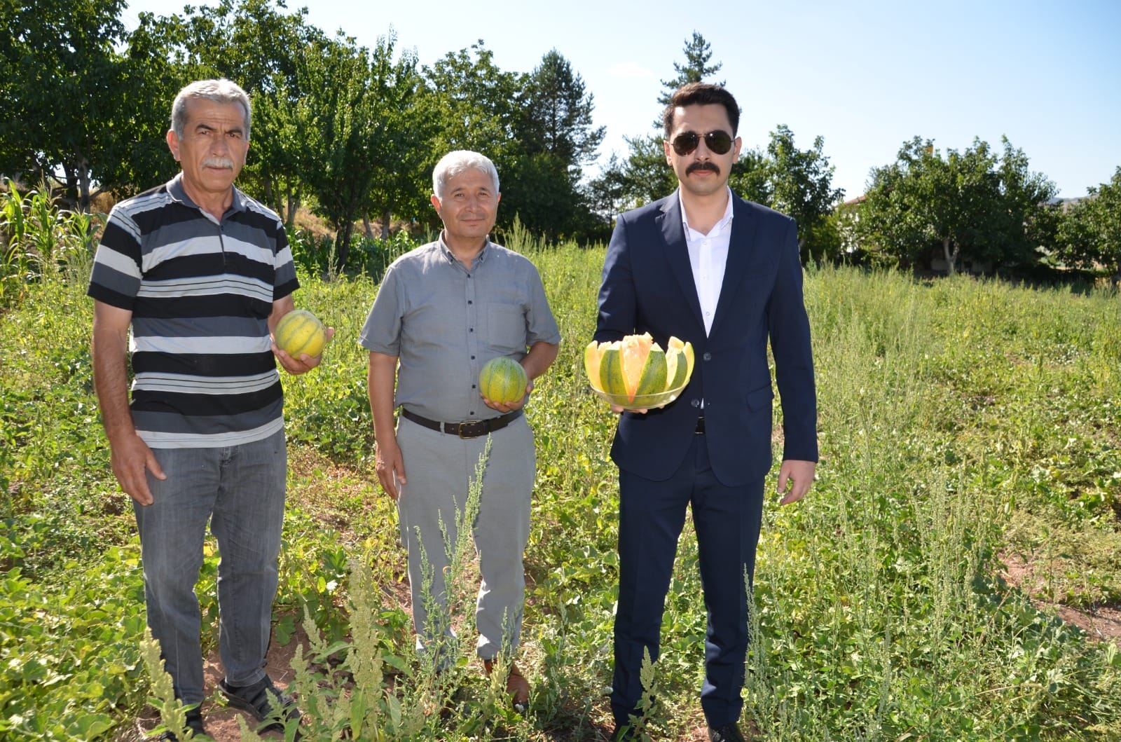 Bağrıbütün Hasadı Başladı