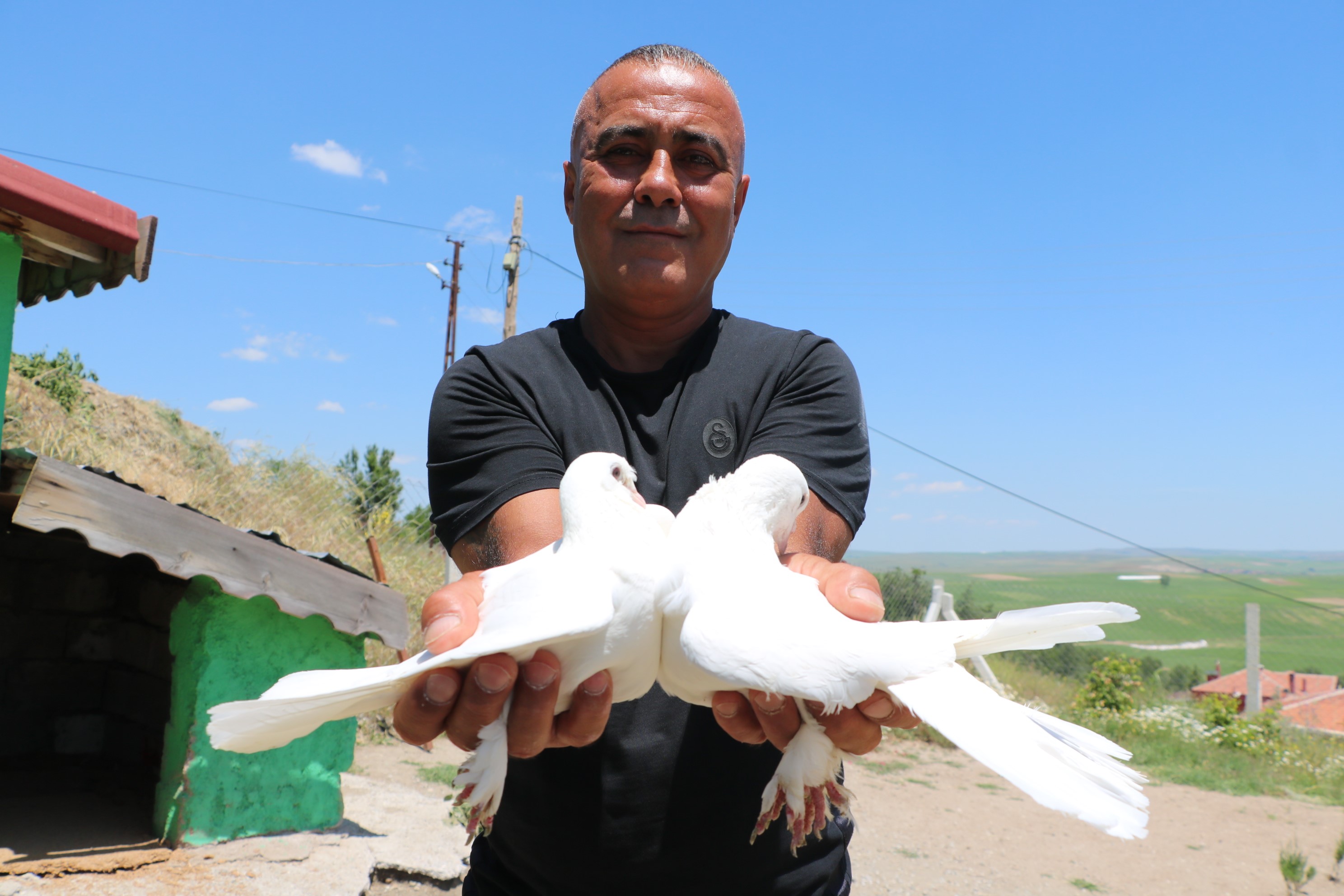 Yozgat’ta Yetiştiriyor Dünya Şampiyonluğu Için Yarışıyor! (4)