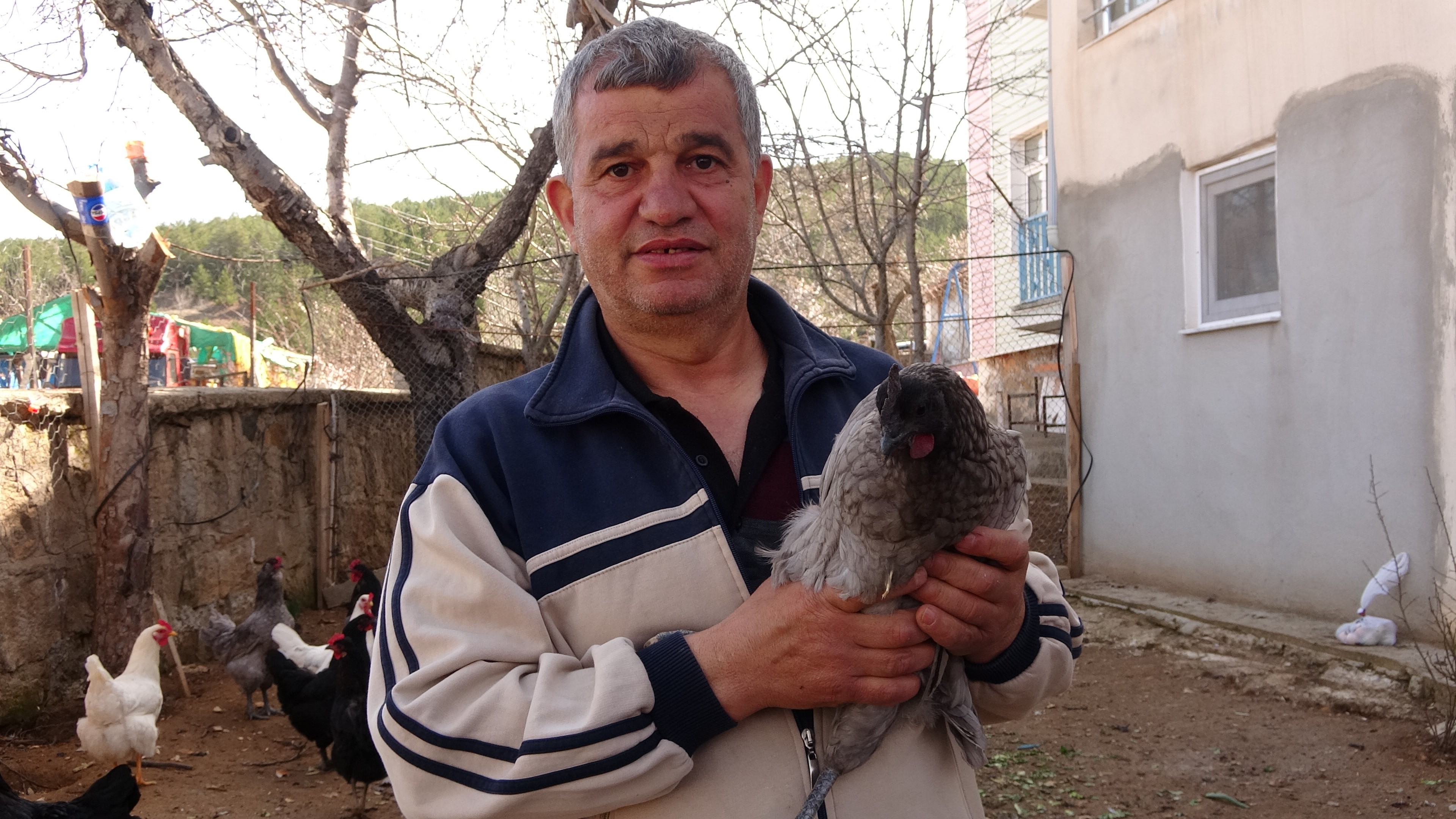 Yeşil Yumurtanın Tanesi 20 Liradan Satılıyor (7)