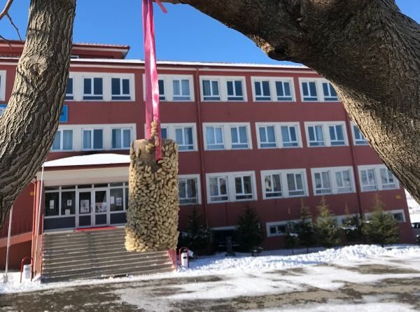 Saraykent’te Kaç Okul Var
