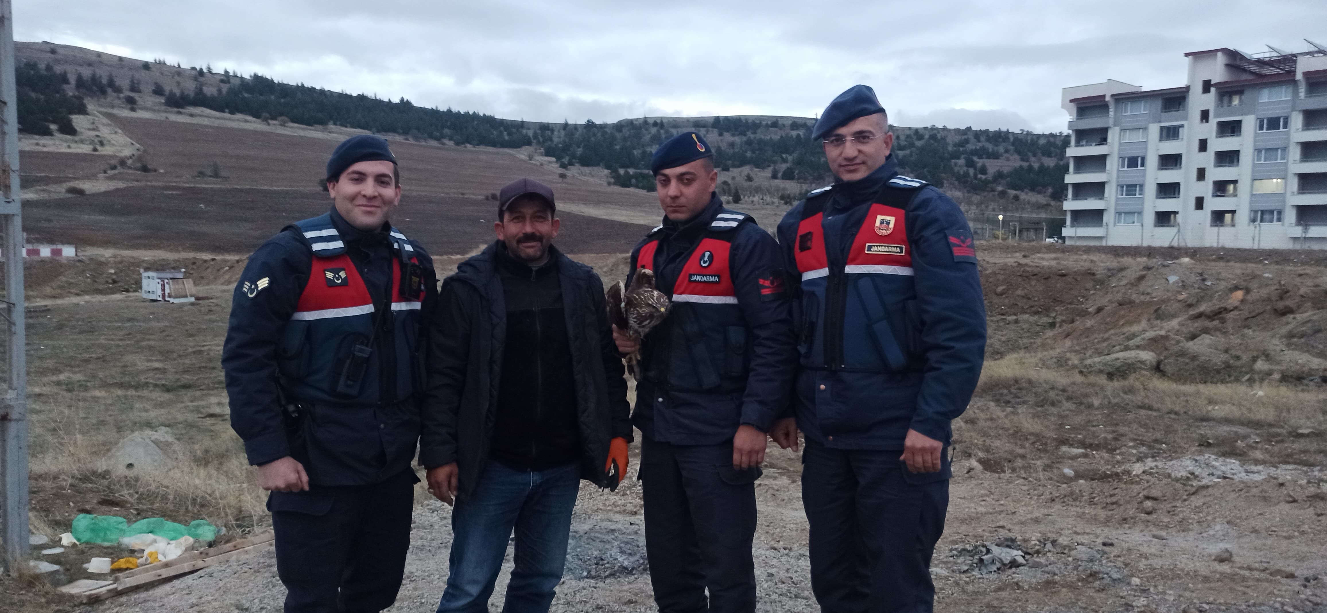 Kızıl Şahin Kurtarıldı