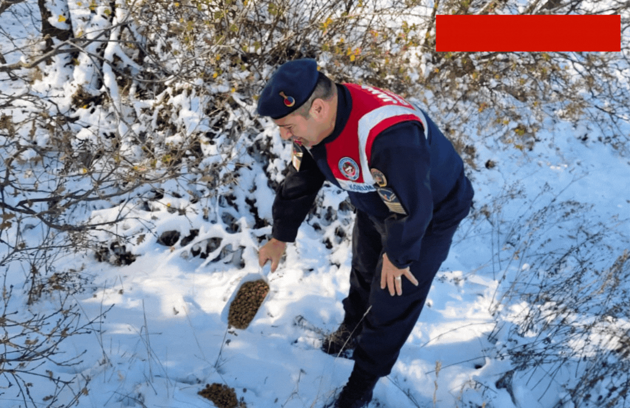 Yozgat'ta soğuk havada yaban hayvanları unutulmadı