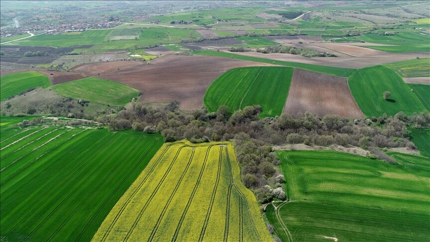 Yozgat’ta Arsa Mahkeme Kararıyla Satılıyor