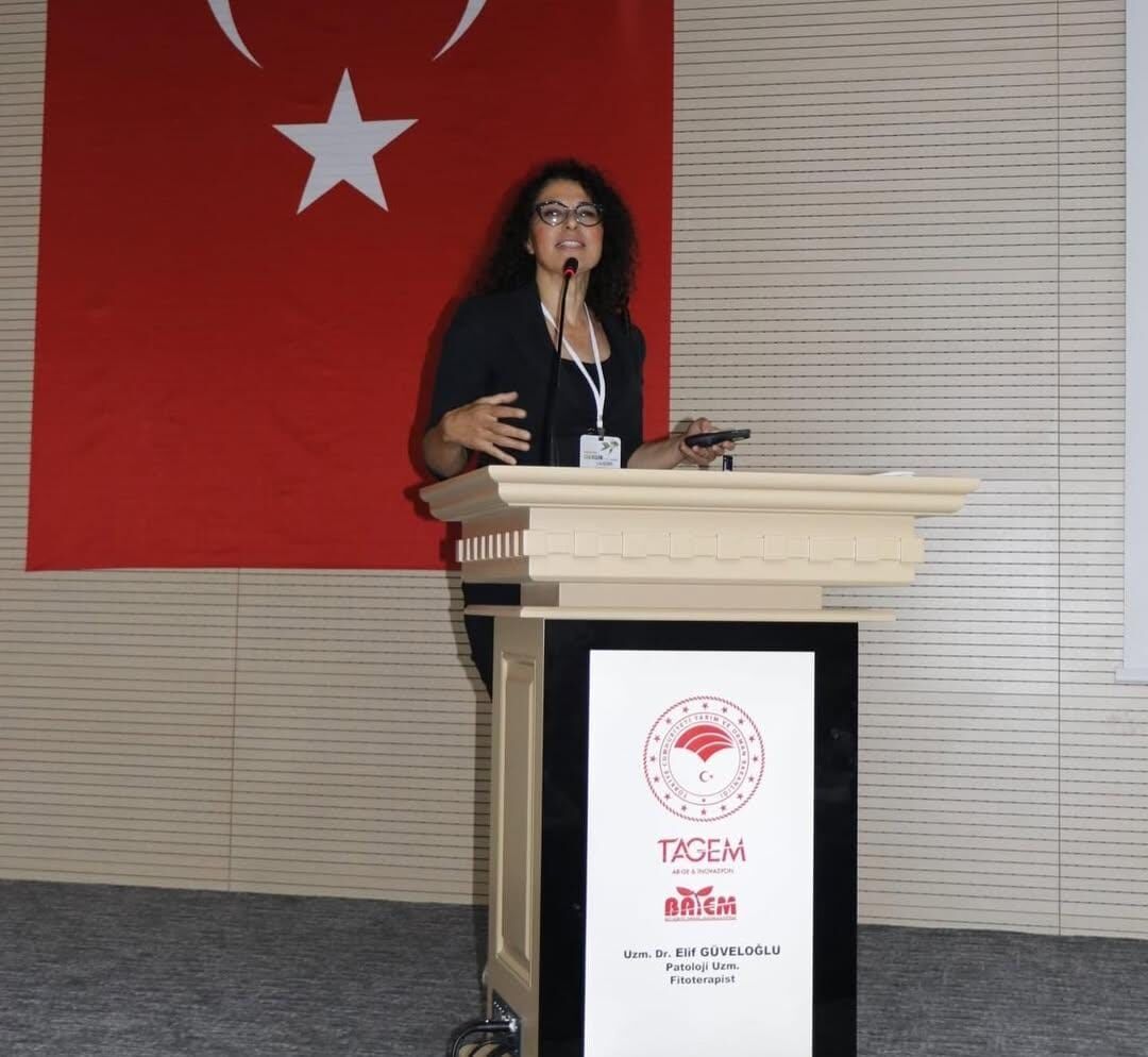 Elif Güveloğlu Kimdir2