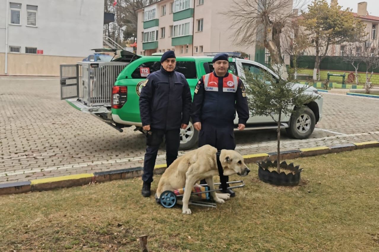 Jandarma Yürüteç Yaptı (1)
