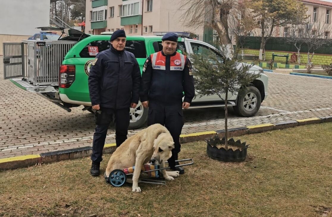 Jandarma Yürüteç Yaptı (2)