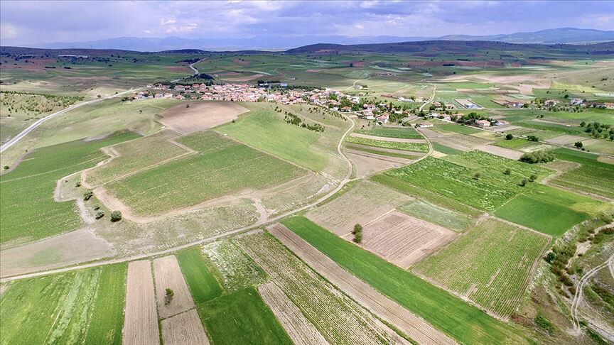 Yozgat’ta Tarlalar Mahkemeden Satılacak2