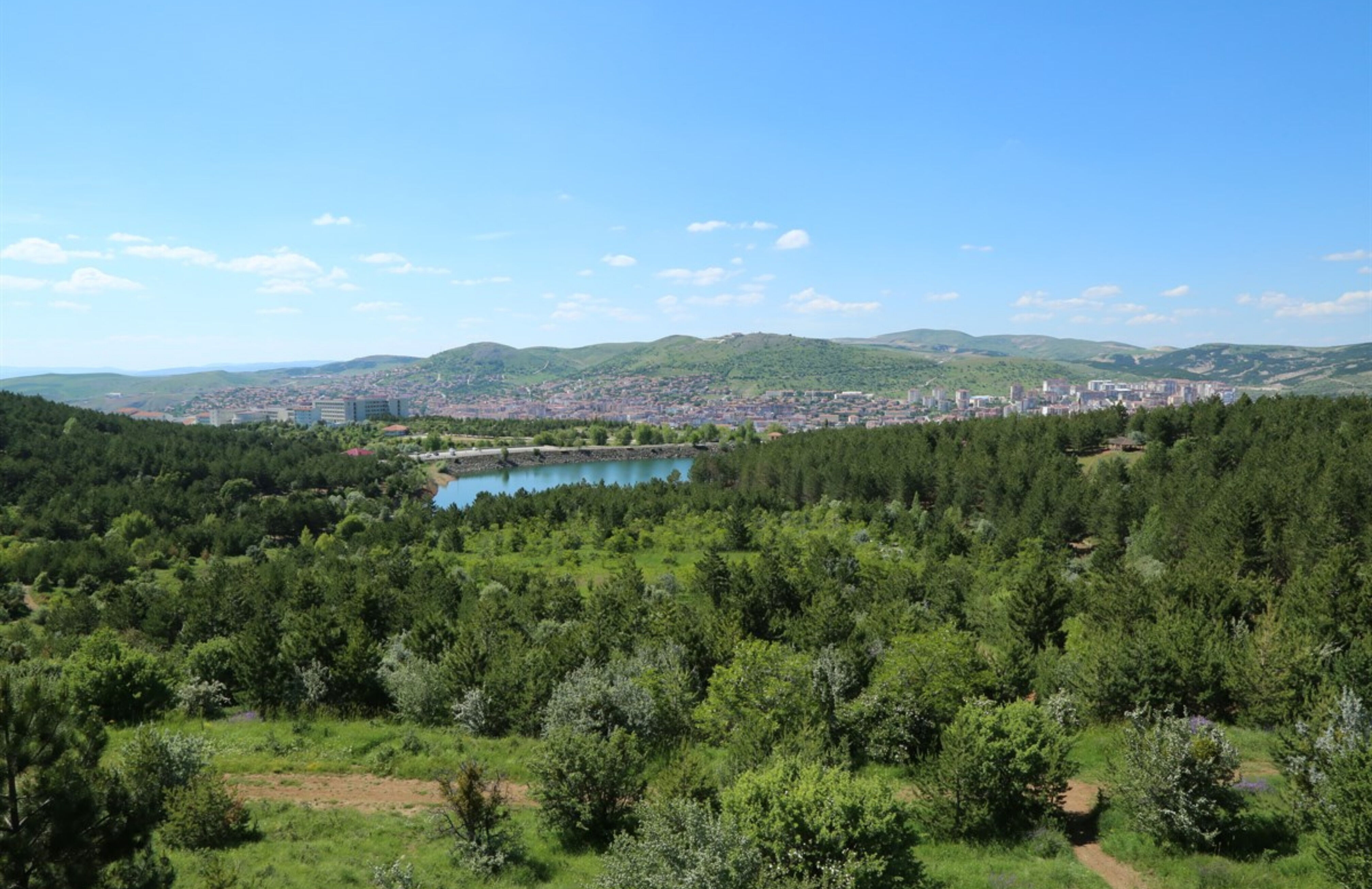 Çamlık Canva (1)