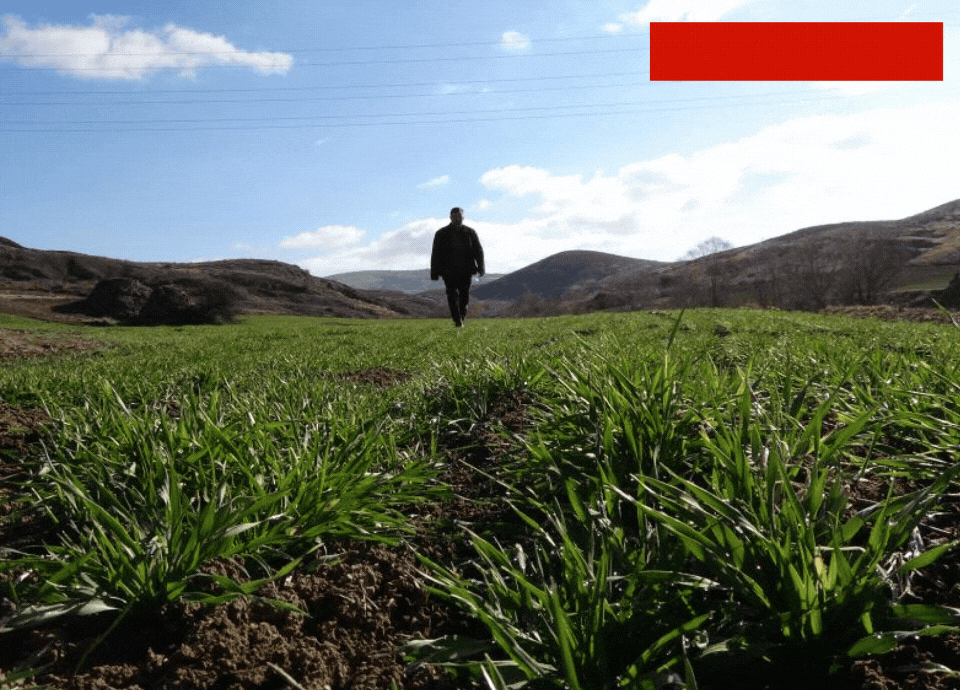 Yozgat'ta çiftçiler kara kara düşünüyor!