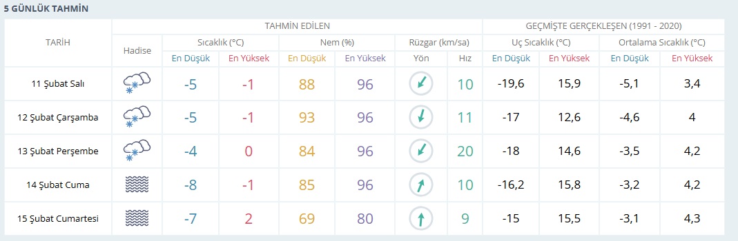 5 Günlük