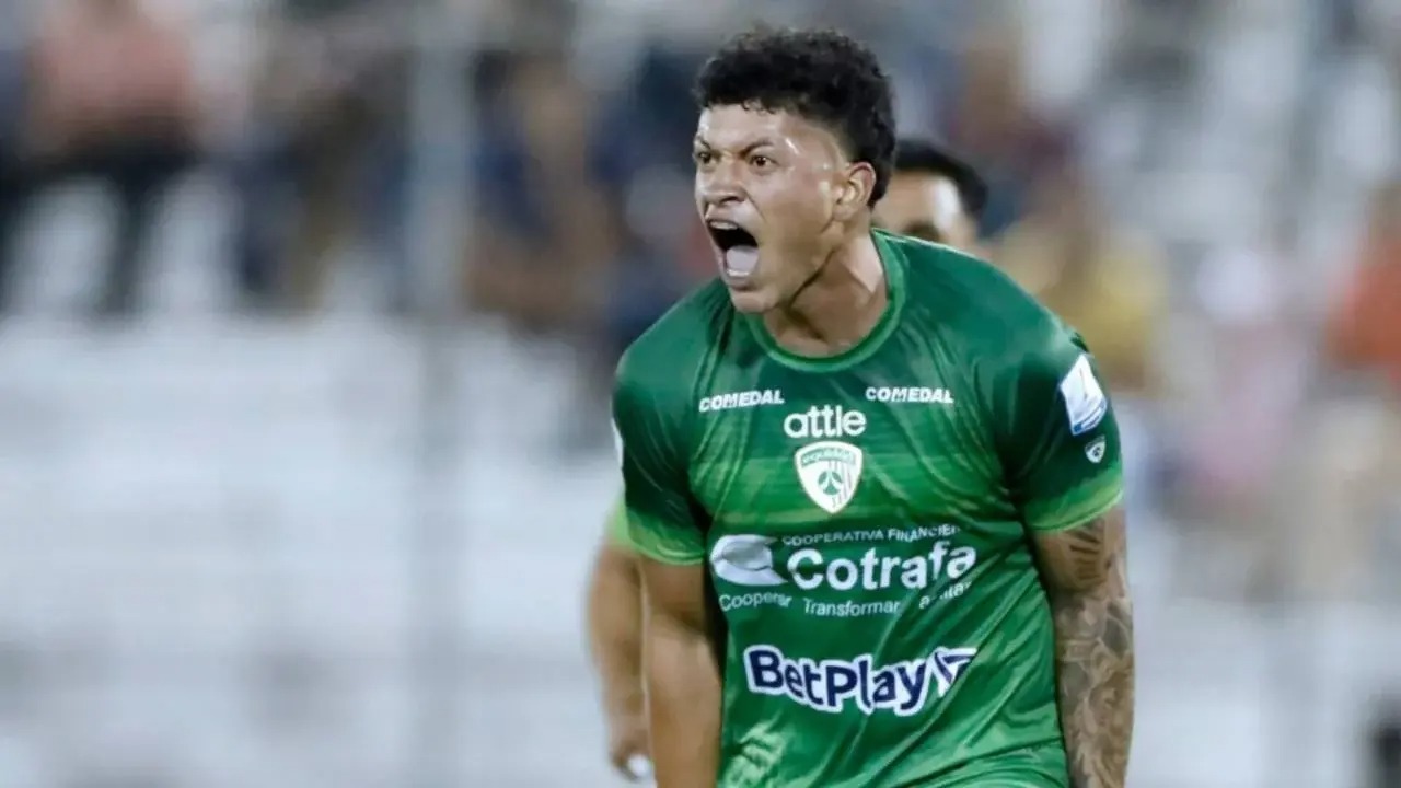Elan Ricardo Kimdir