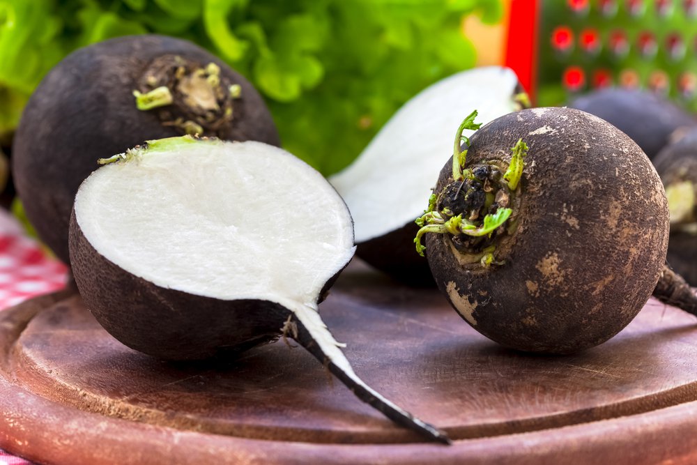 Kışın Vitamin Deposu Turp 5