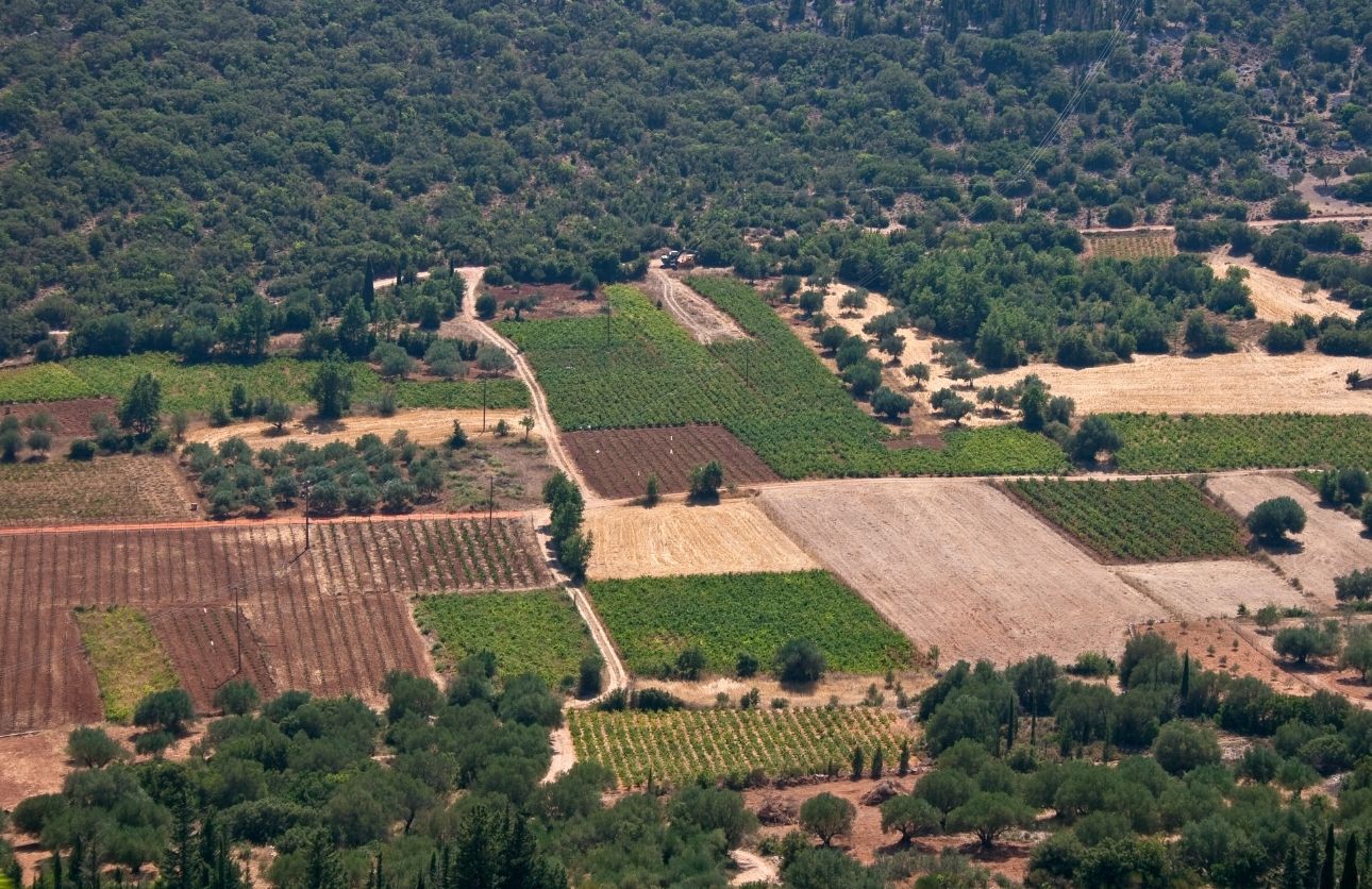 Hazineye Ait Arsalar (2)