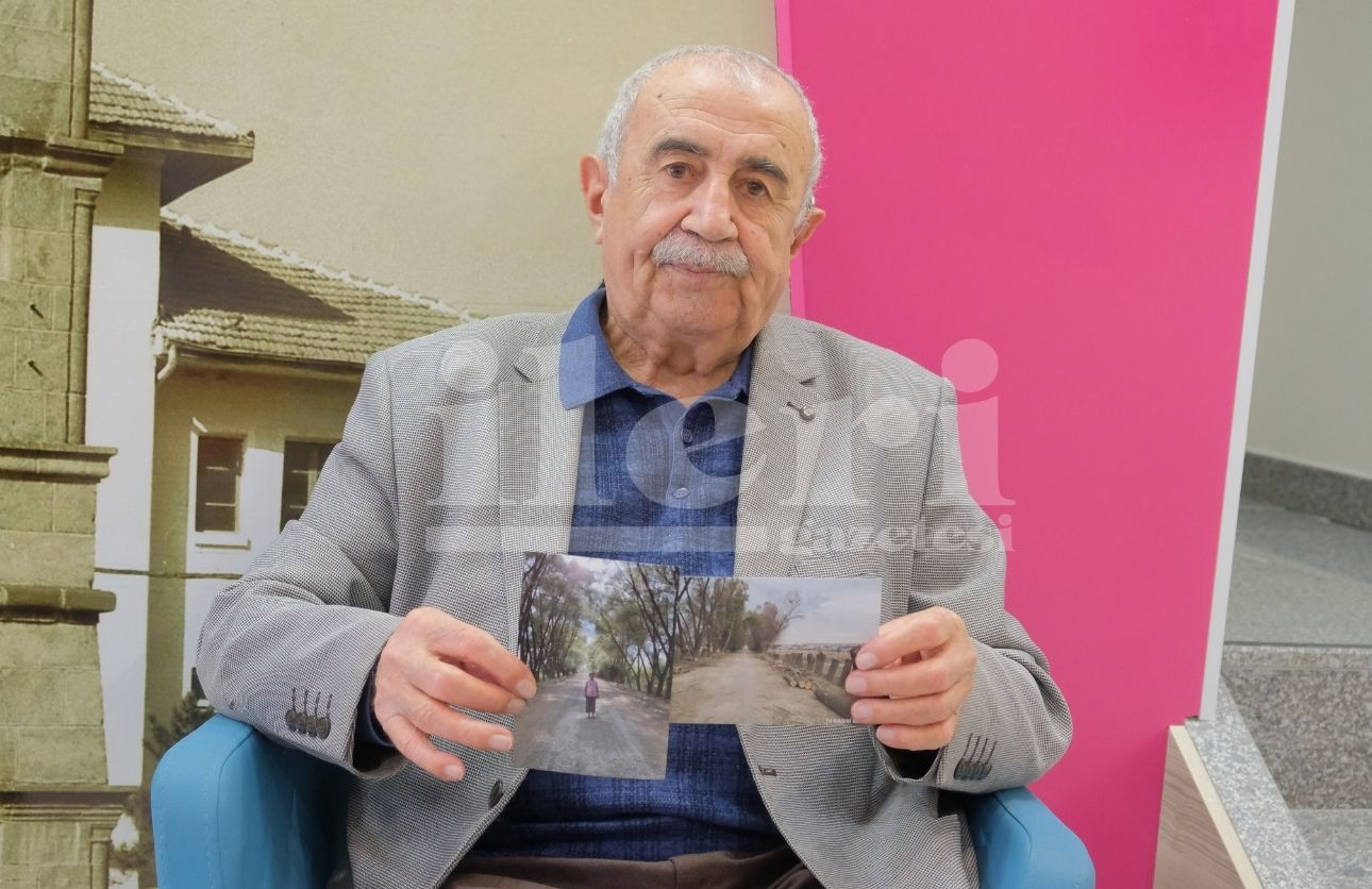 Saray Ağaçlı Yol (2)