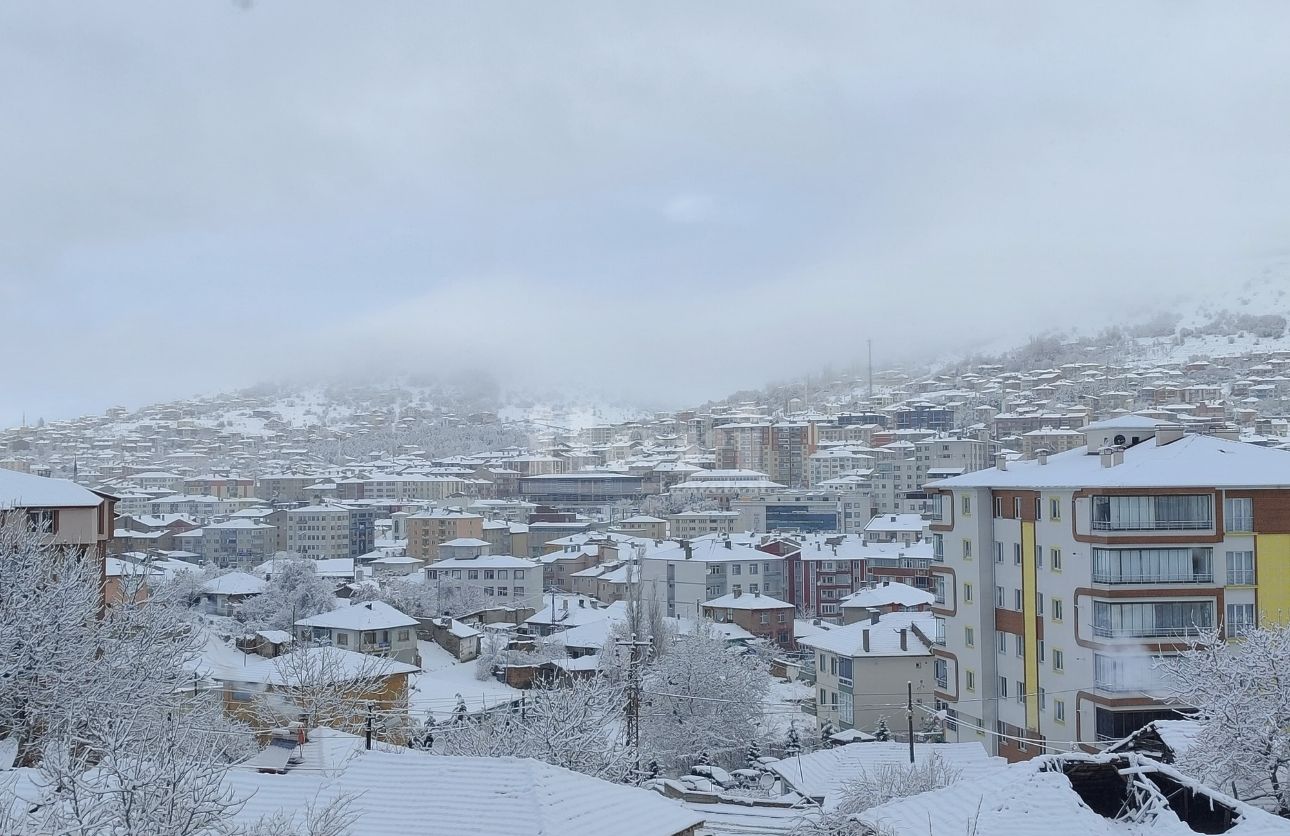 Kar Foto (2)
