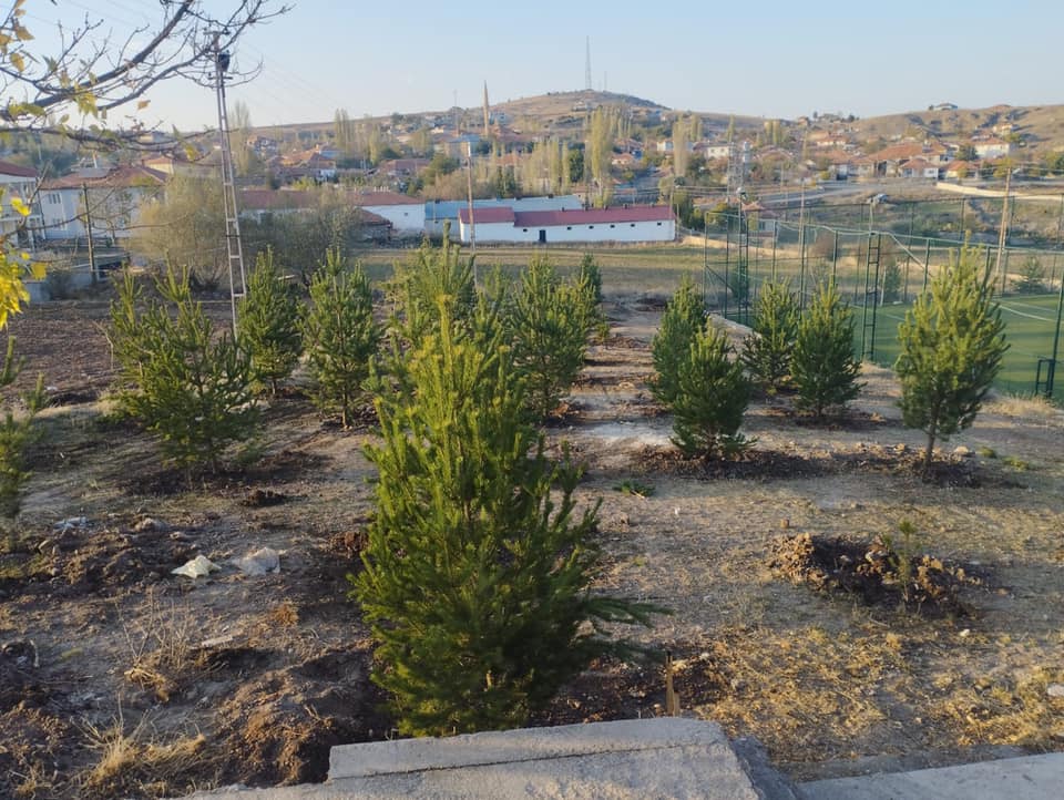 Yenileme Çalışmaları Tamamlandı5