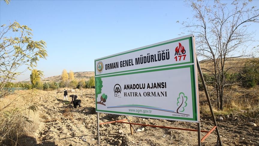 Orman Genel Müdürlüğü (2)