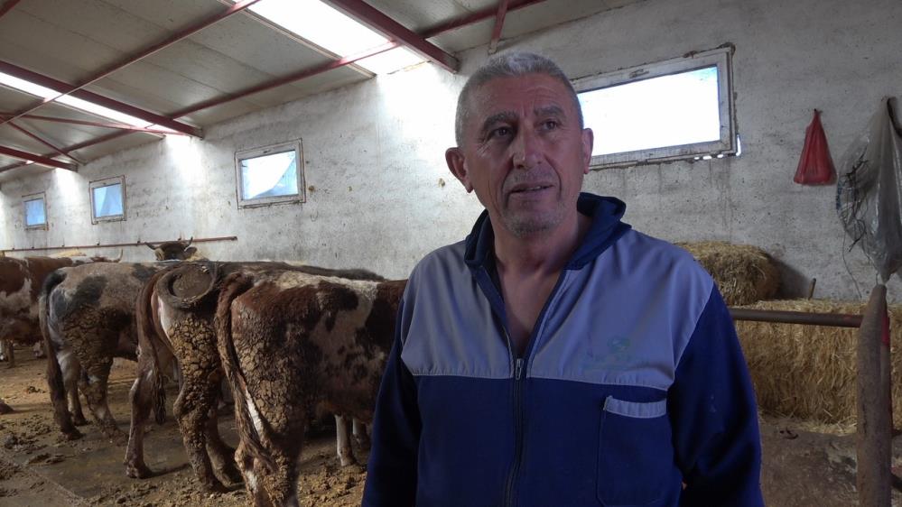 Şap Aşısı Yaptırmayana Ceza3