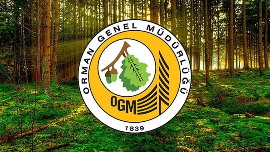 Orman Genel M2