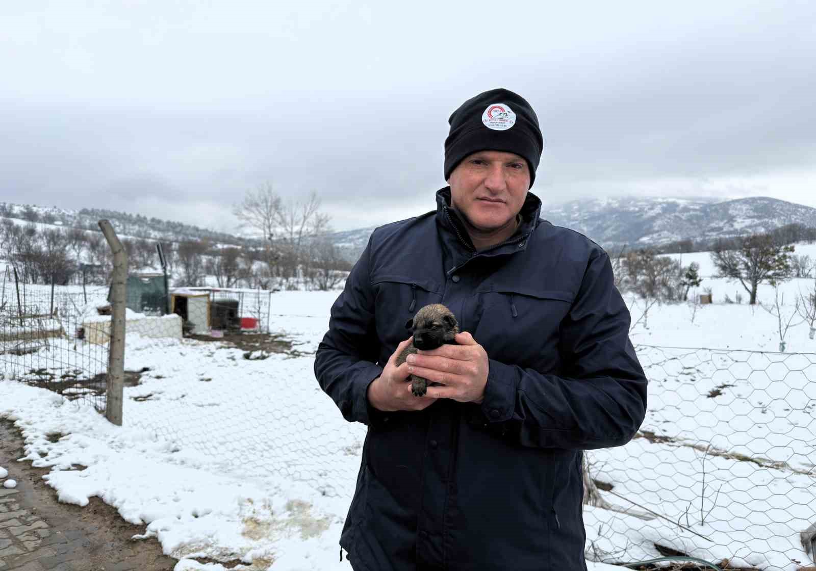 Kangal Annelik Yaptı1