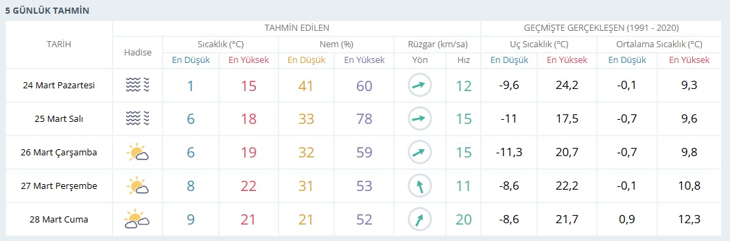 5 Günlük