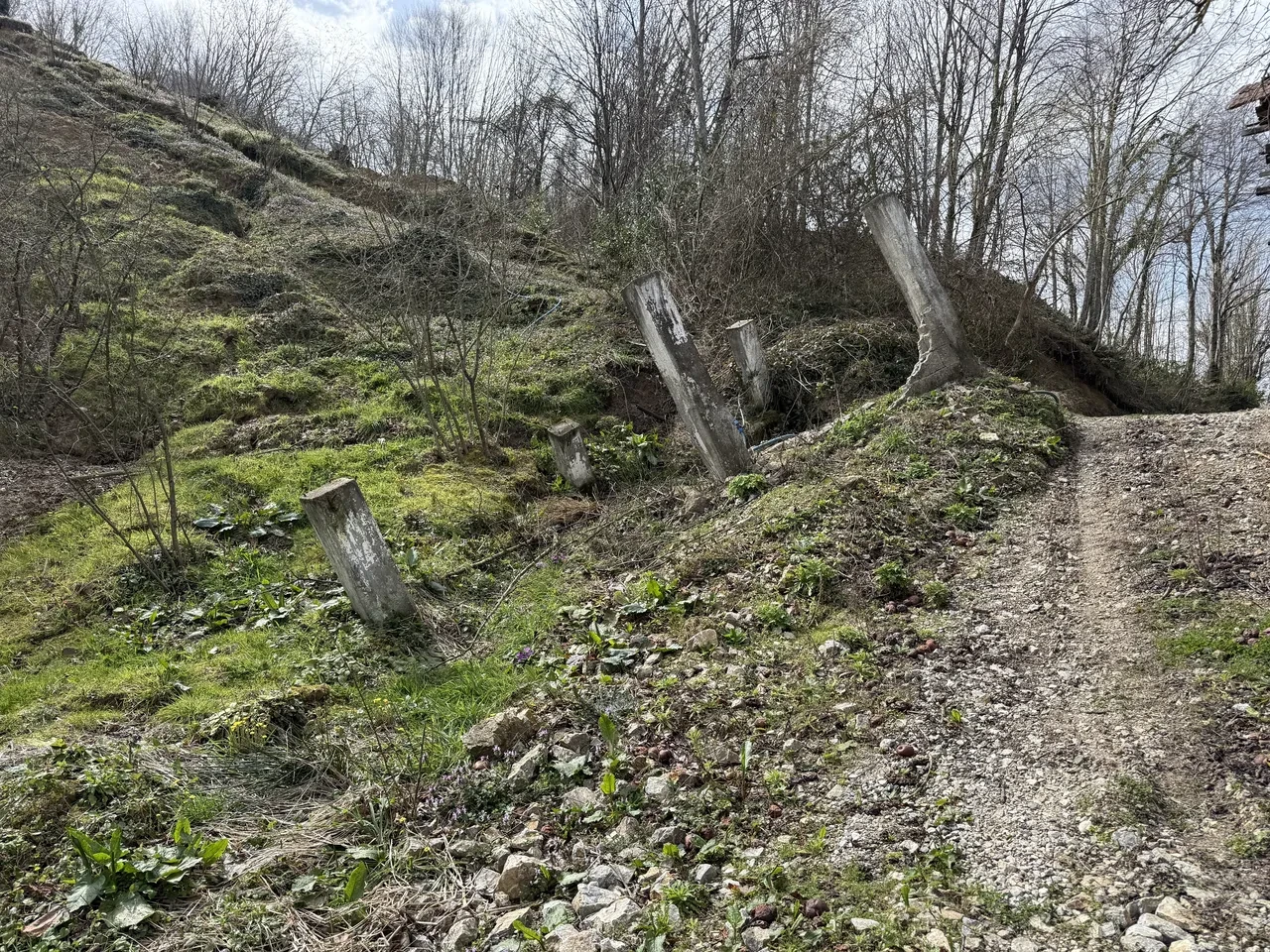 Her Şey Yamuluyor2