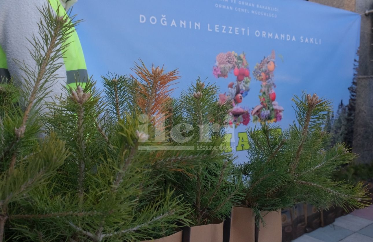 Fidan Dağıtımı (2)