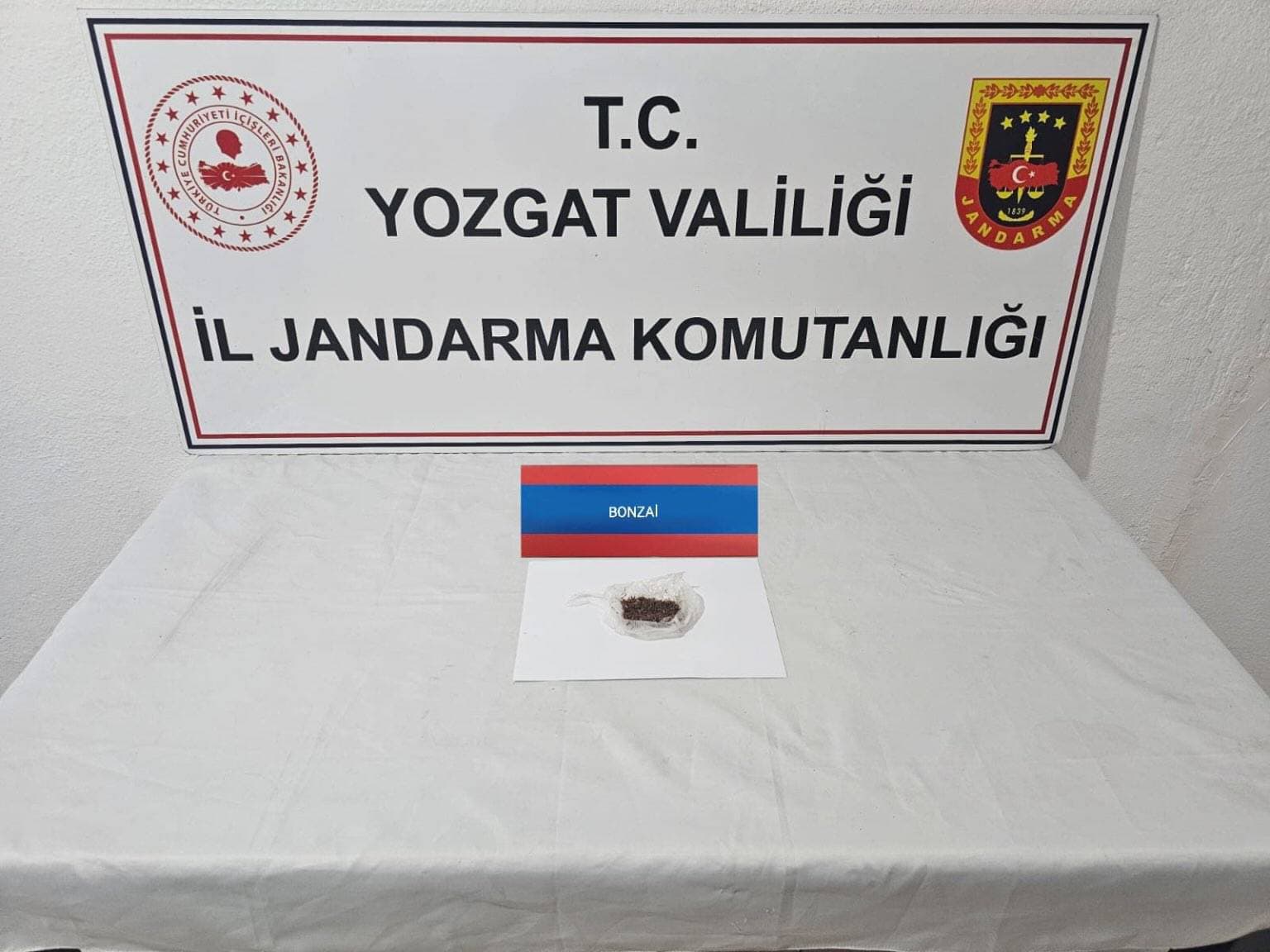 Bonzai Ele Geçirildi