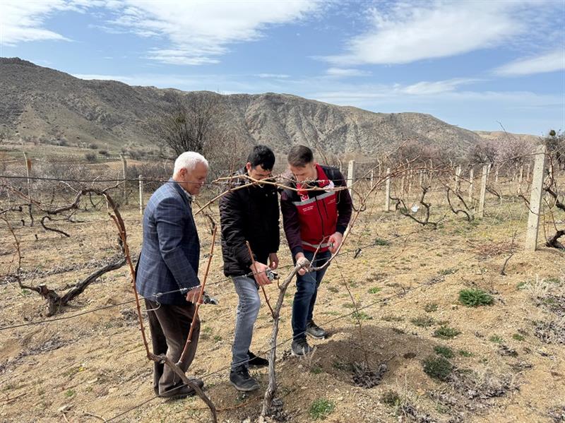 Bağcılık Eğitimi Verildi1