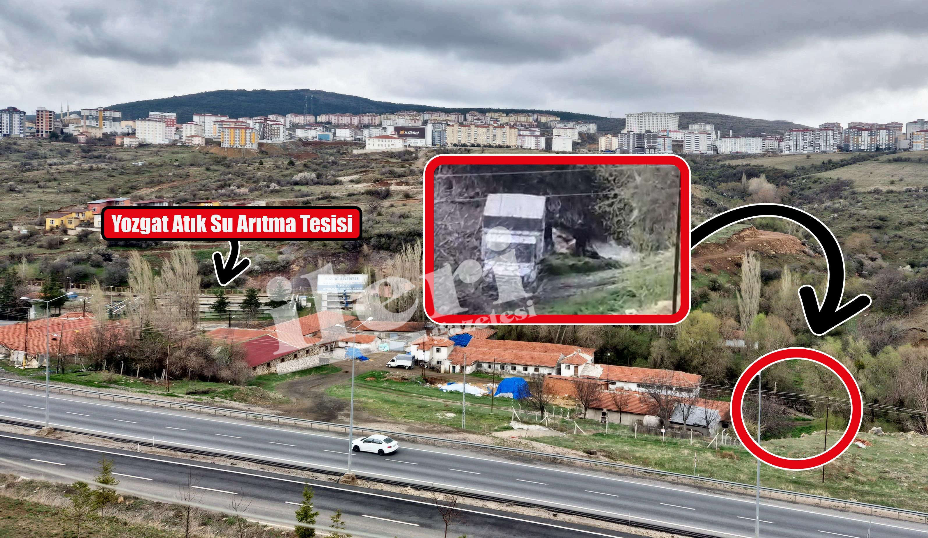 Hayvanı Dereye Attılar (1)