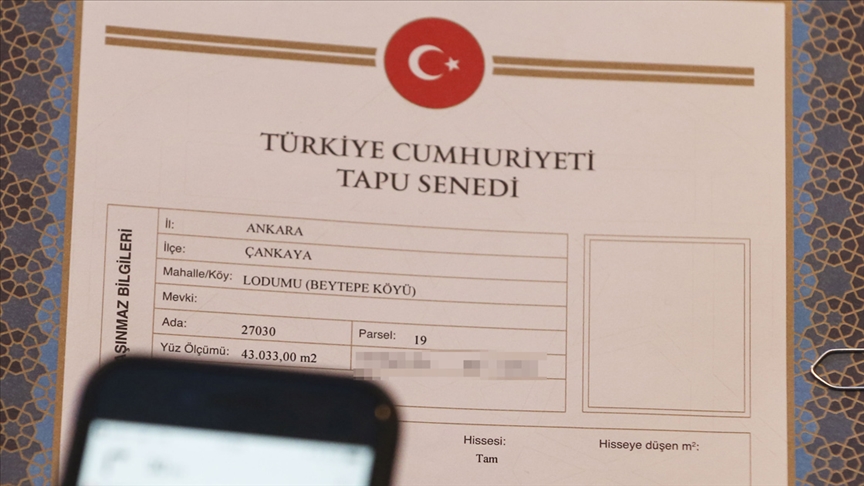 Tapu Yeni(1)