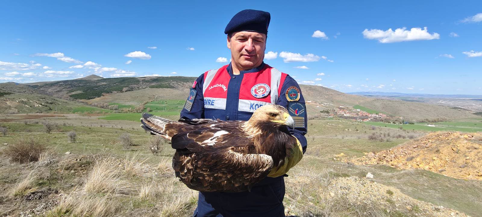 Yaralı Kartal Koruma Altında