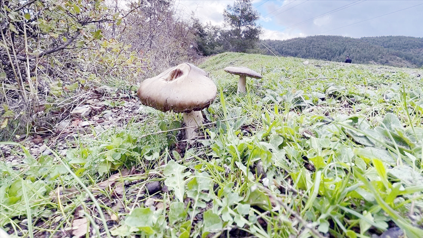 Zehirlenmelere Karşı Uyarı2