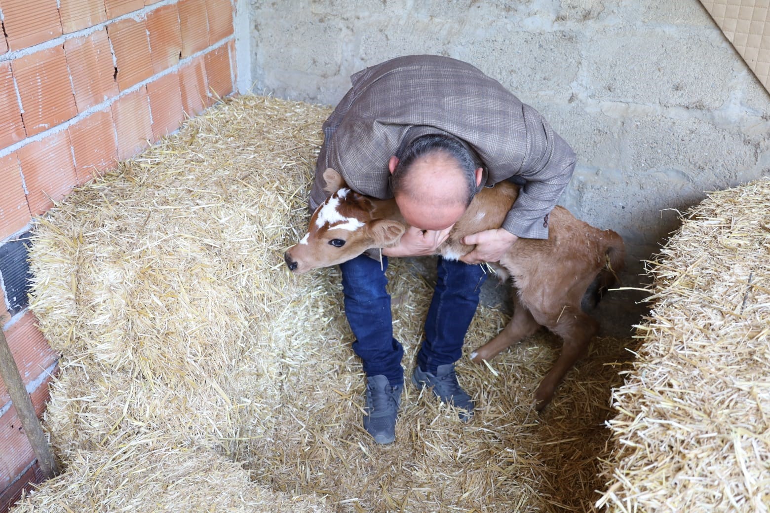 Ön Ayakları Olmadan Doğdu.1Jpg