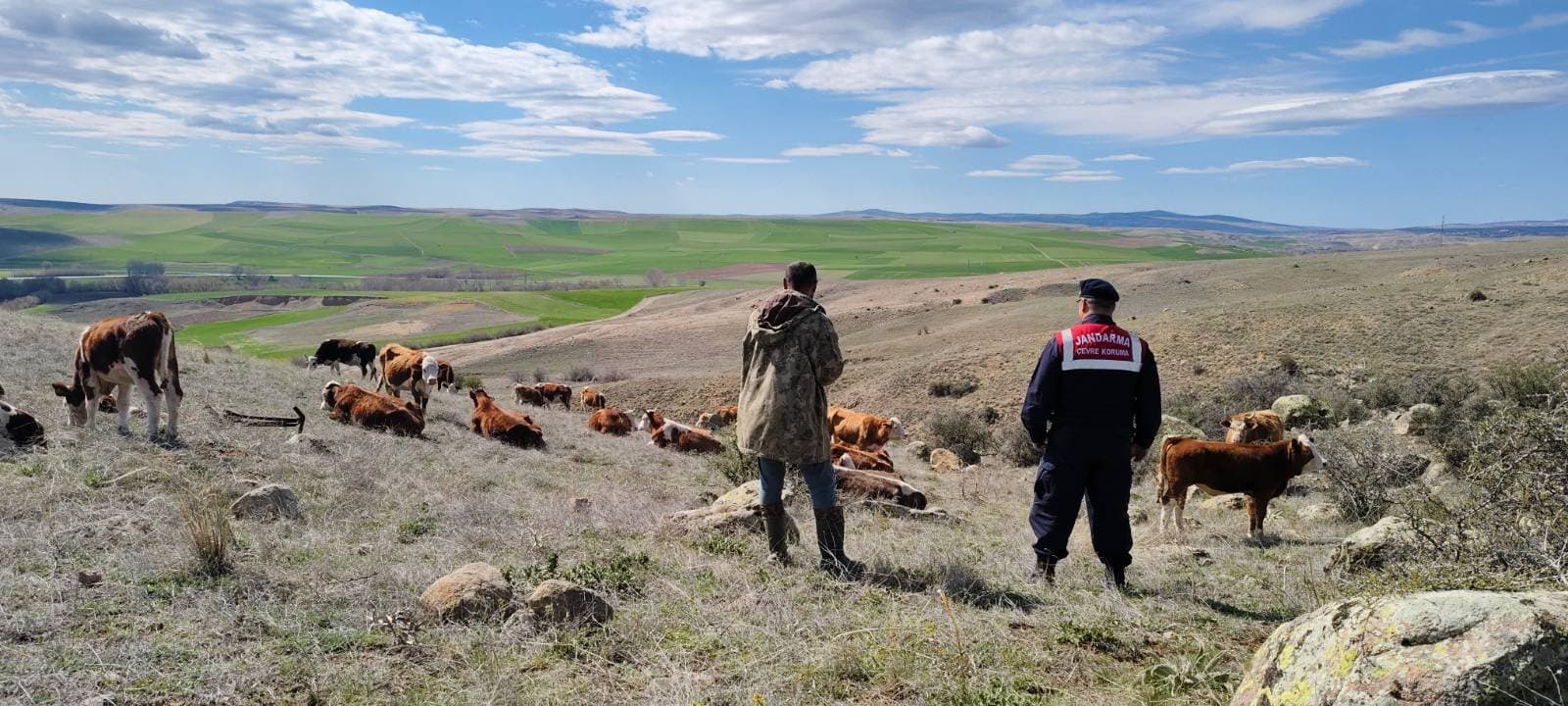 Jandarmadan Hayvan Sahiplerine Uyarı (2)