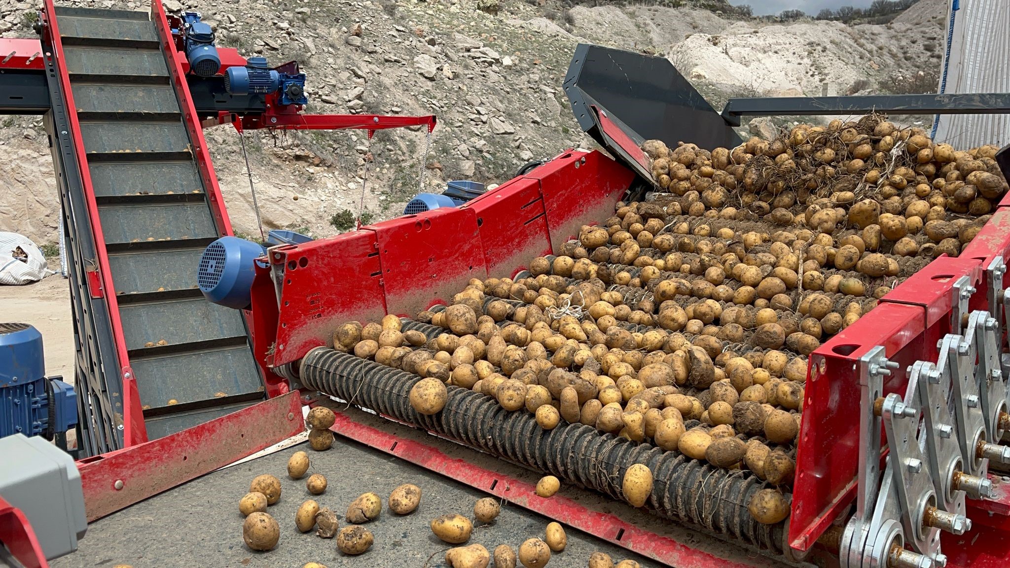 Patates (2)