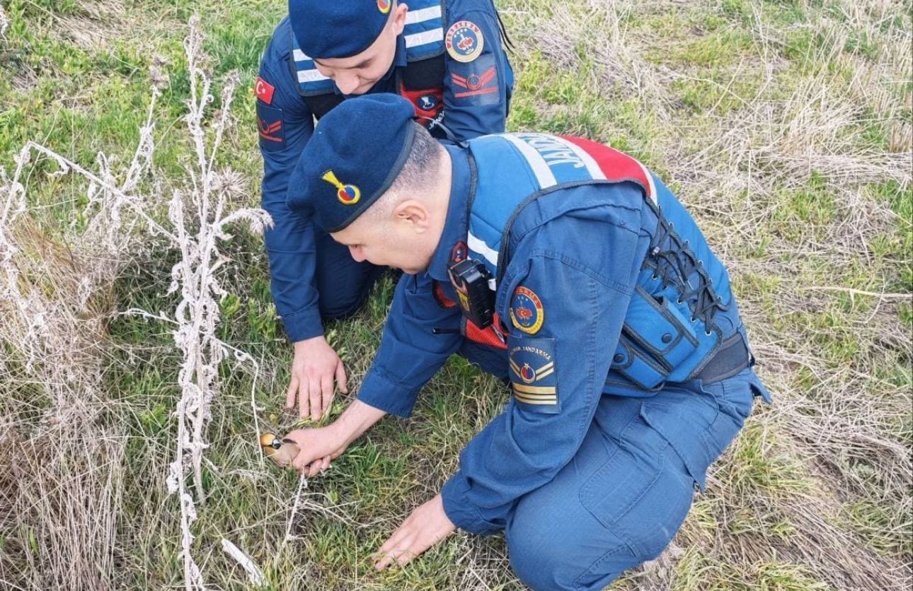 Jandarma Kuş Yozgat (1)