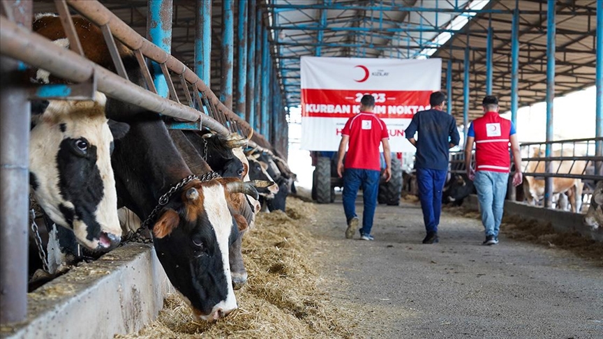 Kesim Fiyatları Açıkladı