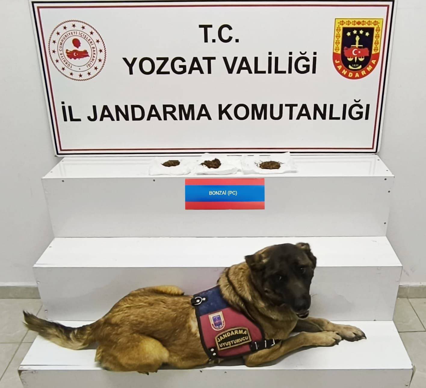 Uyuşturucu Madde Ele Geçirildi